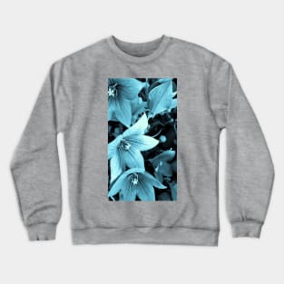 Denim Bluebells Crewneck Sweatshirt